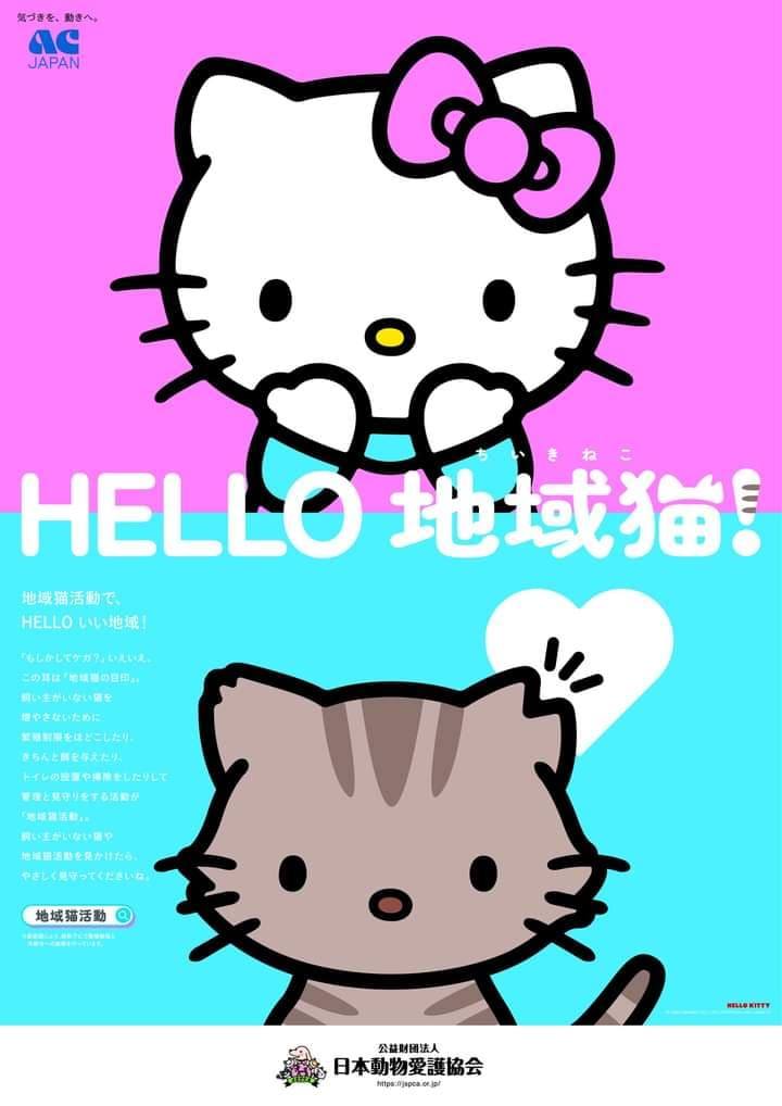 地域猫活動「HELLO 地域猫」ポスター